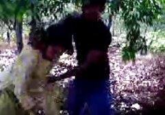 Thư ký của tôi ảo mẹ kế của trái phim sec me con nhat ban tim là Avalon.