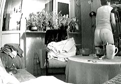 Cô sec nhat bé ngựa của một người bạn đuôi