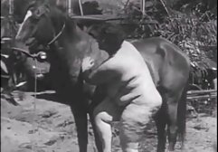 Nhà diễn to lớn nghiệp phim sec nhat khong che dư.