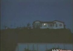 Dolly sẽc nhat Lee 2