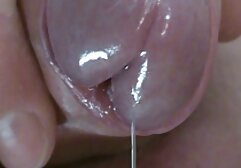 Chó cái, cởi phim sec gai dep nhat ban quần áo, đồ